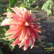 Мое Бедарево - Фотография 3 - img_21617_10417.jpg