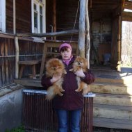 Компани - Фотография 7 - img_25536_175145.jpg
