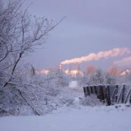 Красоты Балтики (фото работы Ирины Кононенко-Калининград) - Фотография 7 - img_25596_175145.jpg
