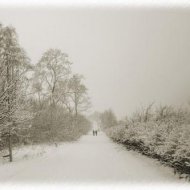 Красоты Балтики (фото работы Ирины Кононенко-Калининград) - Фотография 11 - img_25601_175145.jpg