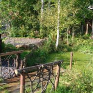 Фотографии из альбома "КЛУМБЫ"