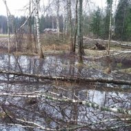 Дом в стиле хай-тек. Часть 1 - Фотография 2 - 20170428_175103.jpg