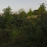Наша подмосковная фазенда. Август 2011 г. Смотреть с конца (фотографии загрузились в обратном порядк - Фотография 10 - img_71140_631045.jpg