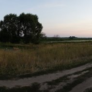 Наша подмосковная фазенда. Август 2011 г. Смотреть с конца (фотографии загрузились в обратном порядк - Фотография 22 - img_71152_631045.jpg