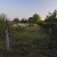 Расчистка участка - Фотография 5 - img_72111_631045.jpg