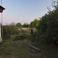Расчистка участка - Фотография 7 - img_72113_631045.jpg