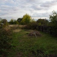Расчистка участка - Фотография 10 - img_72973_631045.jpg