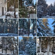 Дачные картинки - Фотография 42 - 99A7EE69-0B16-4BE8-B9DA-3E1C0242931D.jpeg